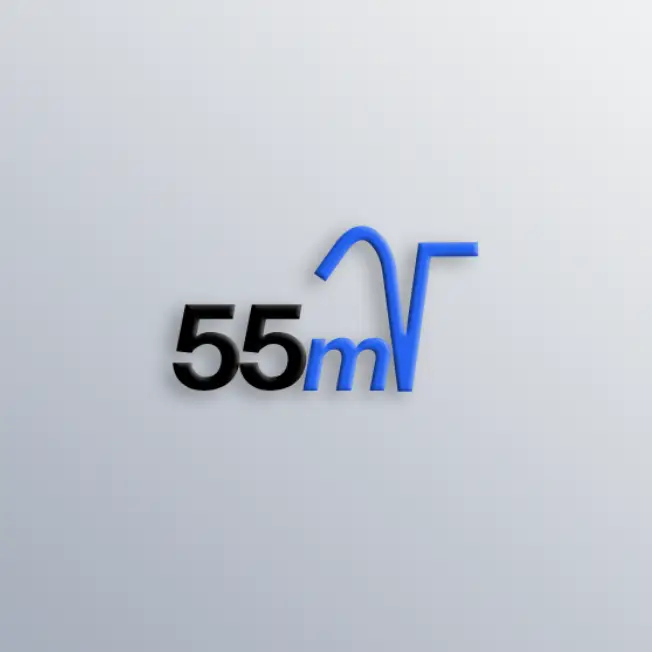 55mV